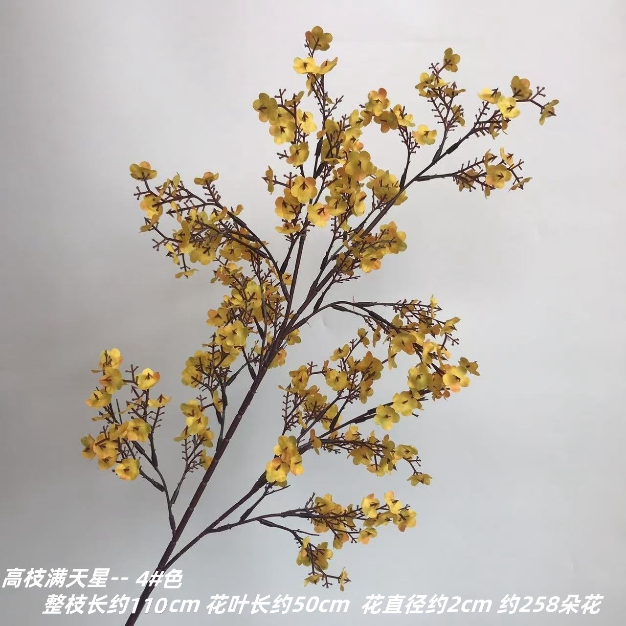 높은 가지 안개꽃 4#색깔