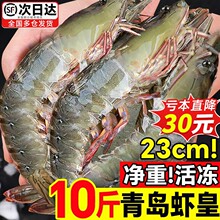 大虾鲜活特大号基围虾青岛海鲜生鲜冻虾白虾水产王速冻冷冻新鲜