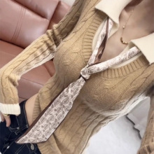 �W���͹�Polo�I�كɼ��黨ëᘿ���Ů2026�����¿��@�ݚ��|������