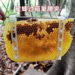 ��Ƣ�A�^�䌧�A�A��Ұ���^�����B�AͰ�AƢ���ϊA��Ƣ�A�ӹ̶���