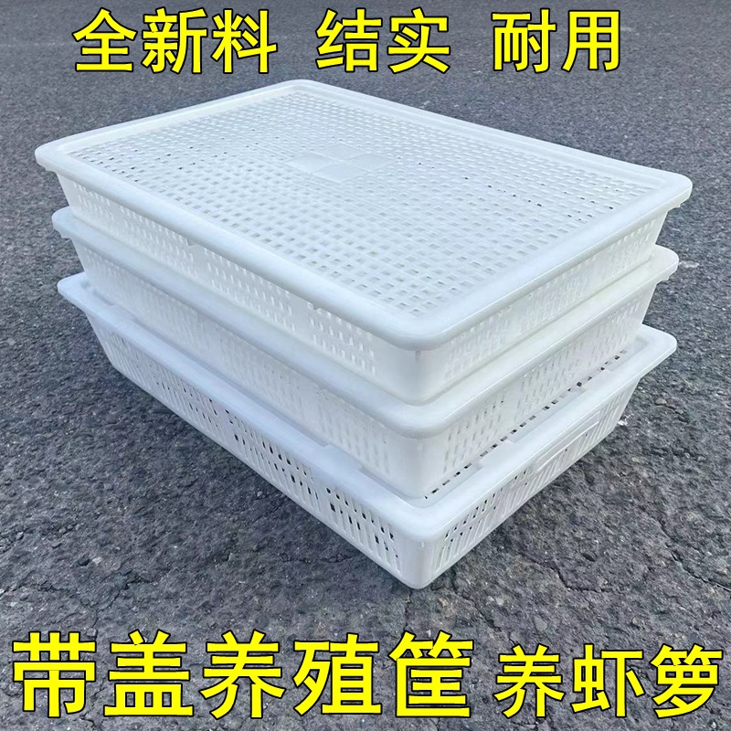 新料塑料筐长方形带盖框周转框海鲜养殖框水产运输筐养虾箩蟹筐