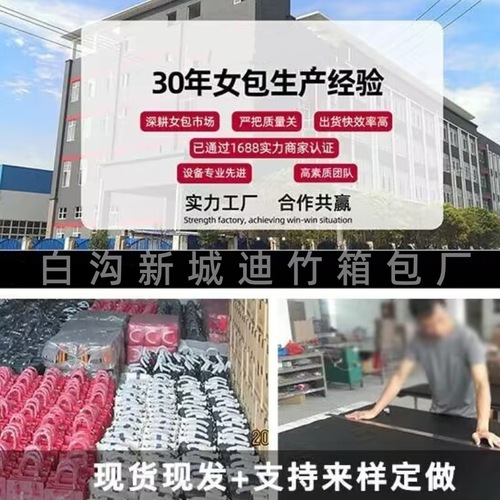 Niche design high-end handbag for women's spring new fashionable and versatile one-shoulder cross-span bag wholesale