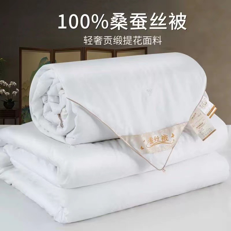 Tongxiang Mulberry Silk Pillow Top 100% Mulberry Silk All-Cotton Spring and Autumn Summer Cooling Air Conditioning Blanket Single and Double Size Duvet Cover