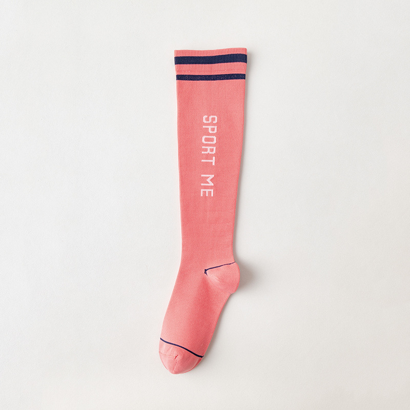 복숭아 복숭아 블루 로즈