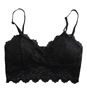 Lace fashionable underwear solar-powered, top with cups, detachable tube top, beautiful back