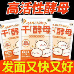 Jijiang 高活性酵母粉末発酵生地乾燥酵母高活性家庭用商業袋入り酵母粉末饅頭