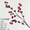 Big Branch Sea Buckthorn Fruit-Red