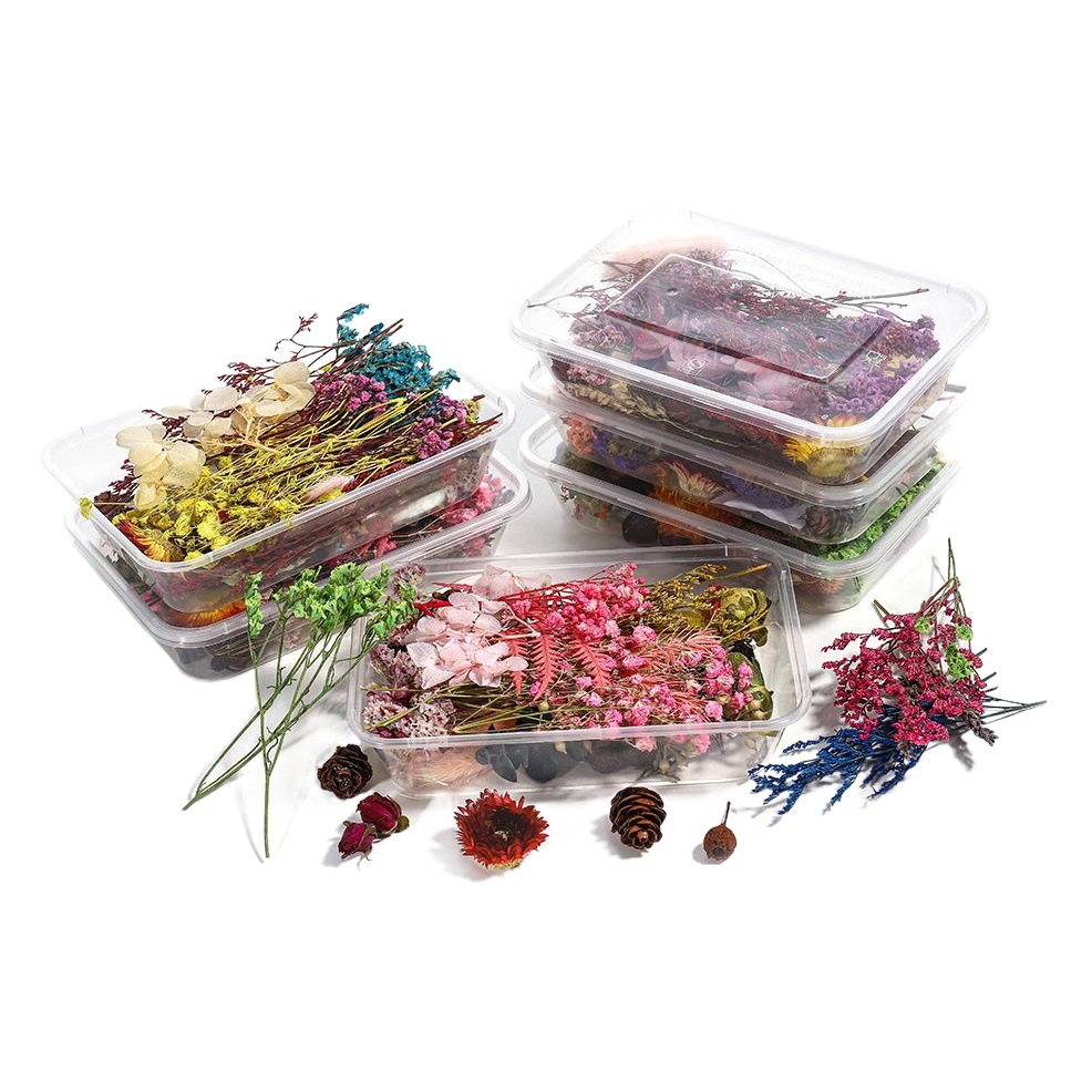 Flor flotante Flor seca Flor eterna Día de la Madre 38 Regalo de bricolaje Producción de abanicos en relieve Flor seca de Yunnan al por mayor