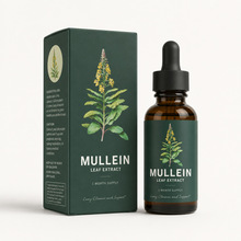 Mullein Leafë�ﻨ�΄���������֧�֠I�B�a�䄩����TK�羳O EM