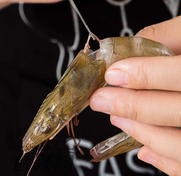 微信截图_20221210231811