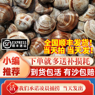 �r����ۺ����oɳ�ش󻨸��ĸ���S͘�ӻ���ؐ��r��ؐ����