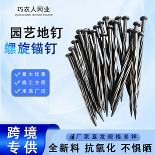 �羳���l�@ˇ����黨��������^ᔹ̶��^˨߅������Ƥ����ʯ���