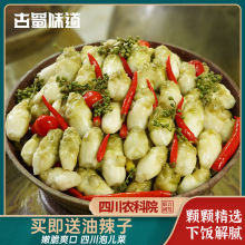 四川泡菜泡儿菜娃娃菜观音菜即食下饭菜爽口泡菜榨菜新鲜儿菜制作