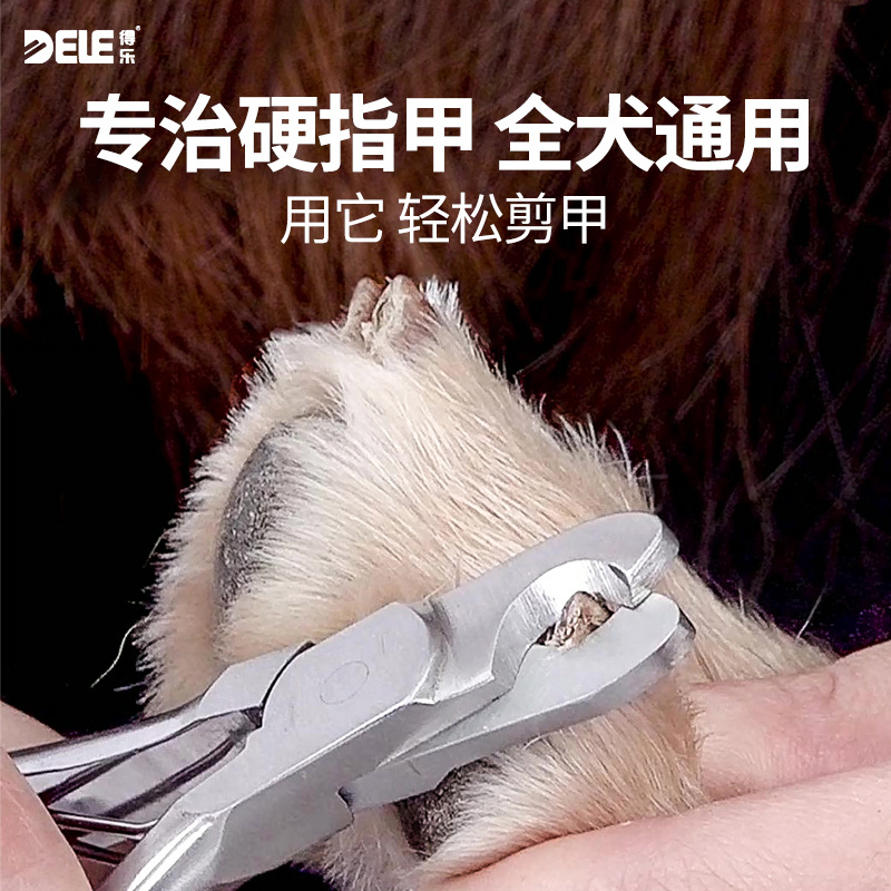 ֱֳȫֽ¿ָ׼ֹèèרҵָǯ