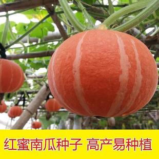 �t������ؐؐС�ϹϷN�ӷ���Ŵ�����Ϲϼt���ϹϷN�Ѵ��Ĳ��N�Ϲ�