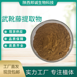 ��ѥ����25% ��ѥ����ȡ�� �F؛�S��