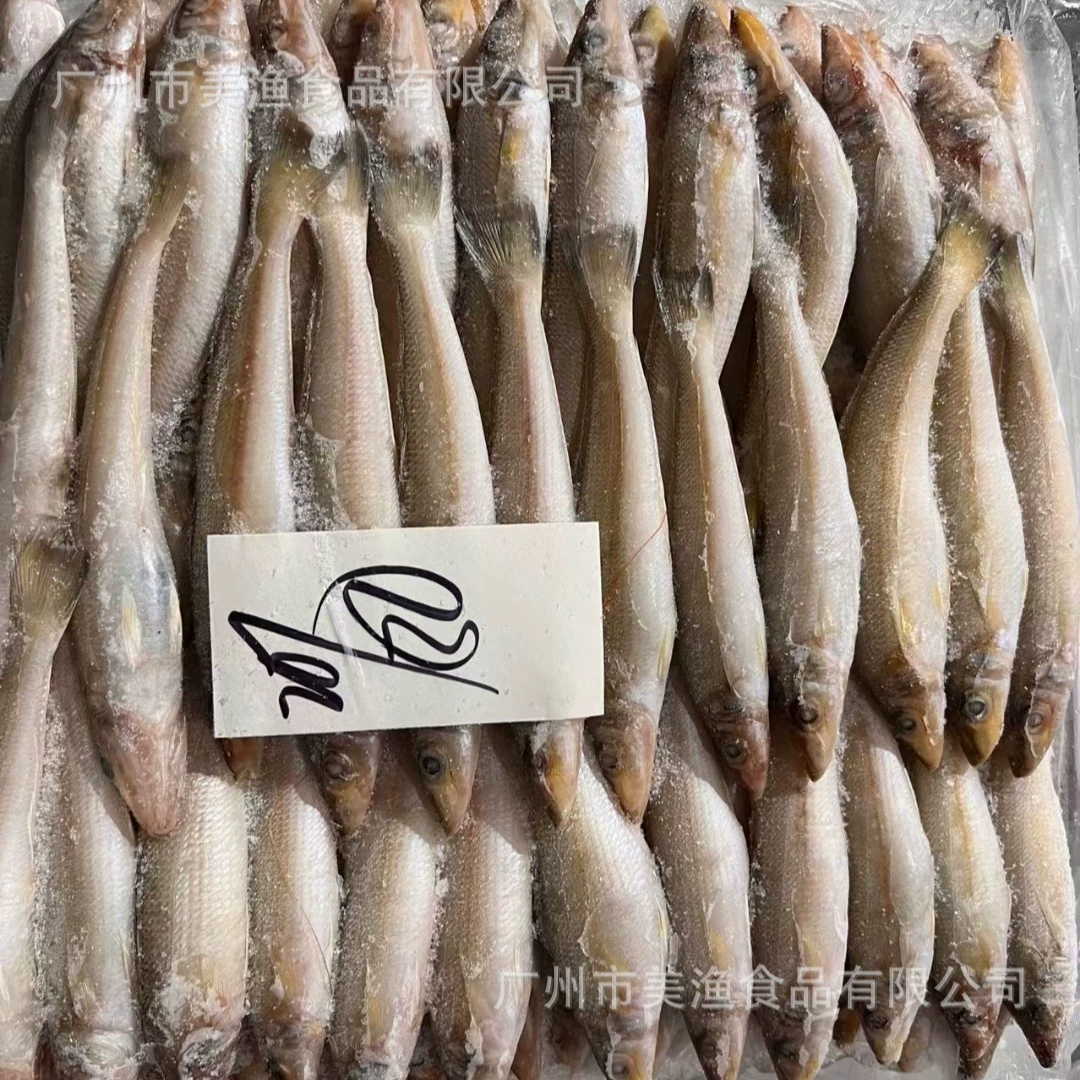 10-20/20-30 спецификации замороженного песка острая рыба сардины морская рыба маленький свежий песок острая Рыба Морской улов 10 кг/шт