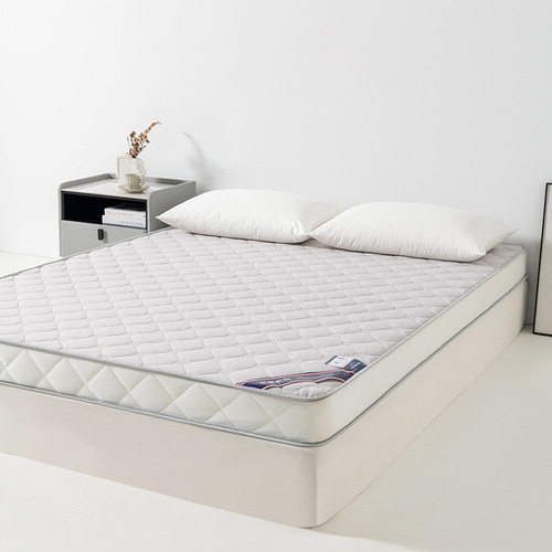 Foam Latex Mattress Pad for Student Dorms, Household Tatami Latex Cushion, Foldable Memory Foam Bedding, Wholesale