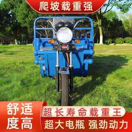 国标电动三轮车拉货新款快递载重家用农用电瓶车货车成人摆摊新款