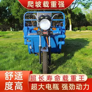 Electric Tricycle for Cargo, Delivery, Farm Use, Adult