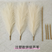 跨境注塑款仿真芦苇花跨境潘帕斯草分节三段式四段式仿真绿植批发