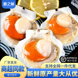 ����ؐ����ؐ����뚤��ؐ�����ط۽z��ؐ�r����̖���ð��Ʒ