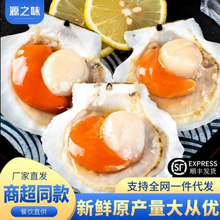 夏夷贝大扇贝冷冻半壳扇贝烤蒜蓉粉丝扇贝鲜冻大号商用半成品