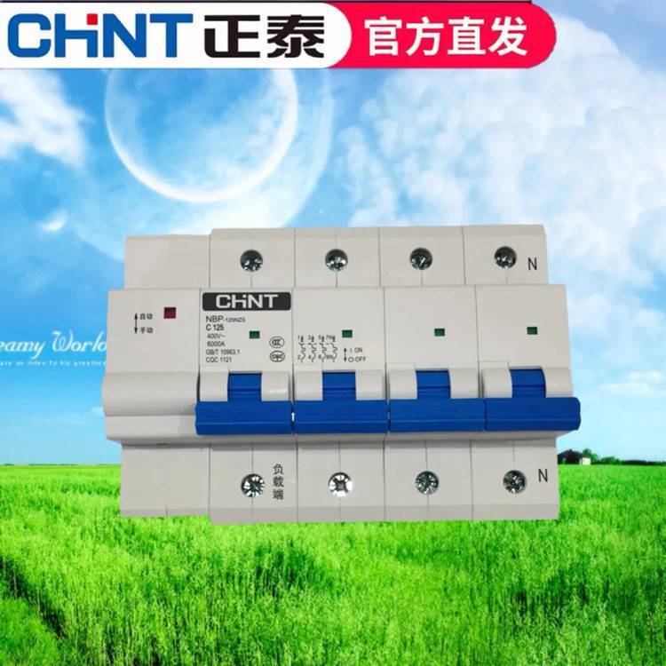 正泰***漏电断路器NXBLE-63Y63A2位双线小型空气开关 原装***
