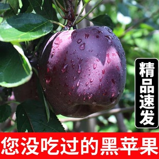 ���ڸ��C�ڿ��O���������rˮ������O��������]��������Ĵ���