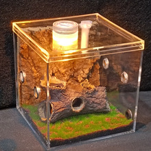 ��͸�ӝ���B�Q�x���B���X�X���ͺ��J����������������������x��