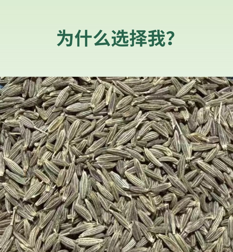 Xinjiang Cumin Seeds for BBQ Marinade and Roast Lamb Seasoning 500g key features