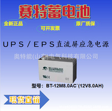 ِ����늳�BT12M17AC������������ݑ�����UPS�Դ12V17AH�늳�