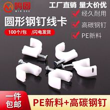 �����ᔈA��늾��W���̶�ᔿ��۠��澀�����Ͽ��100���̾����l