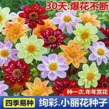 �ļ�̫ꖻ��N��С�����N���׻��̨���Ի��N��ͥԺ�҃����ʻ���