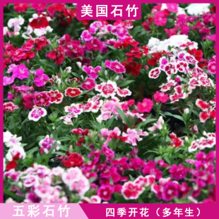 �ļ����ʯ��N�� �Wʯ����ǻ��N���ѻ��_������ʯ��N��