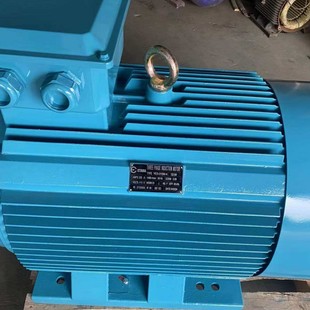 YE3-355L2-4-315KW���ஐ��늄әC����늙C�����Cе�O��늄әC