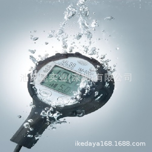 严选 IIJIMA饭岛电子 插入式测氧仪/工业氧仪 GP-200