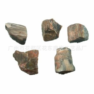 Natural Wood fossil raw material silicified wood mineral specimen teaching ancient biological plant fossil ornaments decoration