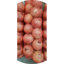 9-11cm韩国出口洋葱加工商检支持各种尺寸可商检洋葱