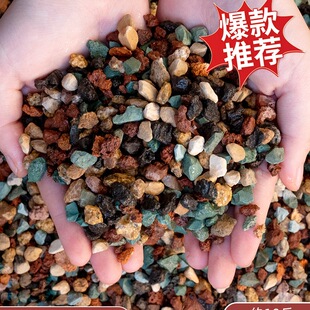 ����ȫ�w�������ʯֲ�����Nֲ�ʺ�ʯ�����ʯ��ɽ���m���I�B��