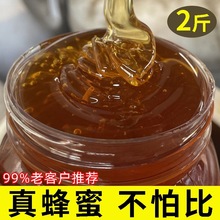 500g/1kg百花蜂蜜深山土蜂蜜纯正瓶装农家自产天然正品真蜂蜜正宗