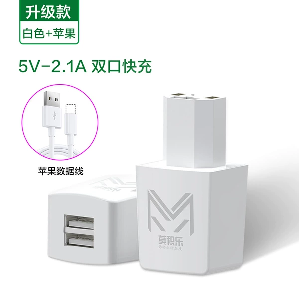 2A adapter [white] + apple powder wire