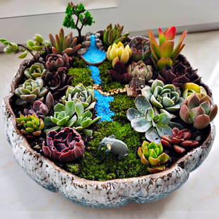 �Ї��L����ŵ�ɏ�������մɻ����̖�ڏ�͸�����ֲ�ﻨ��ƴ��