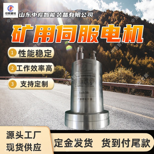 Easy Installation and Maintenance Mining Servo Motor Smooth Operation Sb-200/36Y Mining Servo Motor