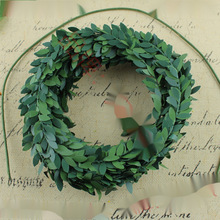���h����diy�F�z�G�~ �����F�z�ٗl7.5m�}�Q�����b�����������