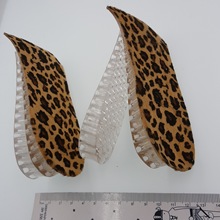 �[�����m�Џ���Ůʿ��ʿ���߰�|��C��|���z�p�����߽q�����N