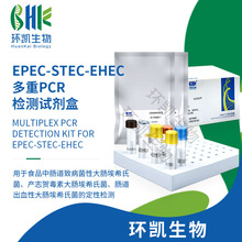 环凯微生物快检EPEC-STEC-EHEC多重PCR检测试剂盒食品快速检测用