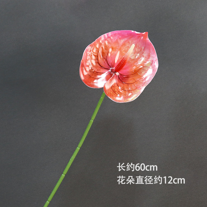 No.1 3D 인쇄 국화