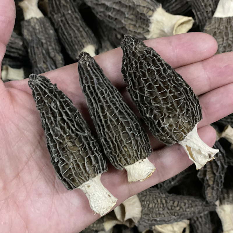 Dried Morel Mushroom 500g Yunnan Premium Grade 7-9cm Soup Ingredient specifications