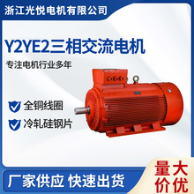 YE2-6-200L2-6-22KW高效节能大功率低噪音船舶电机三相异步电动机